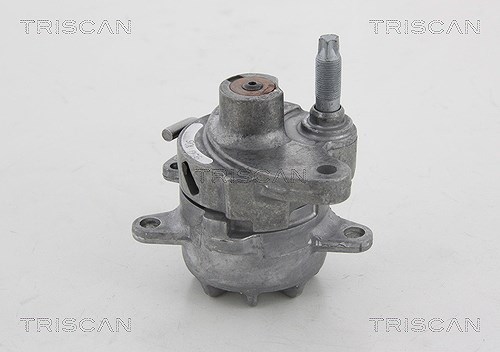 Triscan Spannrolle, Keilrippenriemen [Hersteller-Nr. 8641232018] für VW, Daewoo, Ssangyong, Mercedes-Benz
