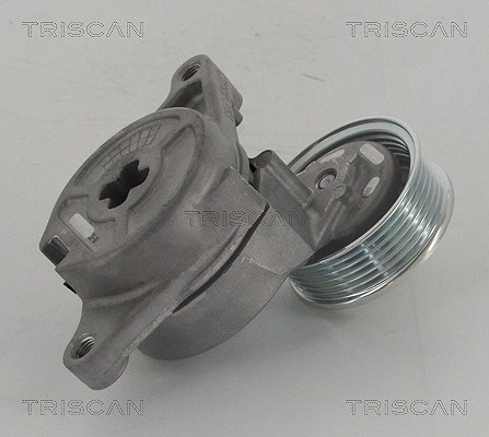 Triscan Spannrolle, Keilrippenriemen [Hersteller-Nr. 8641502003] für Mazda