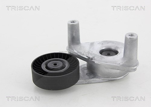 Triscan Spannrolle, Keilrippenriemen [Hersteller-Nr. 8641432006] für Kia, Hyundai