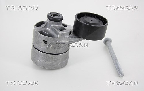 Triscan Spannrolle, Keilrippenriemen [Hersteller-Nr. 8641163018] für Ford