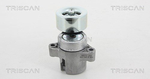 Triscan Spannarm, Keilrippenriemen [Hersteller-Nr. 8641503004] für Mazda