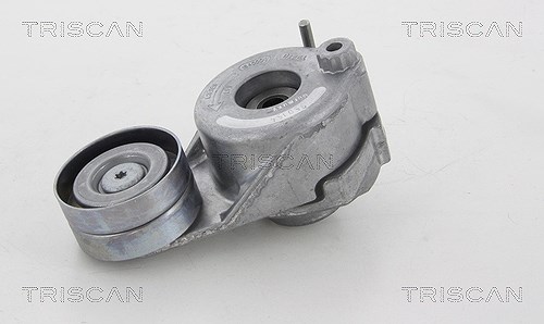 Triscan Spannarm, Keilrippenriemen [Hersteller-Nr. 8641233020] für Mercedes-Benz