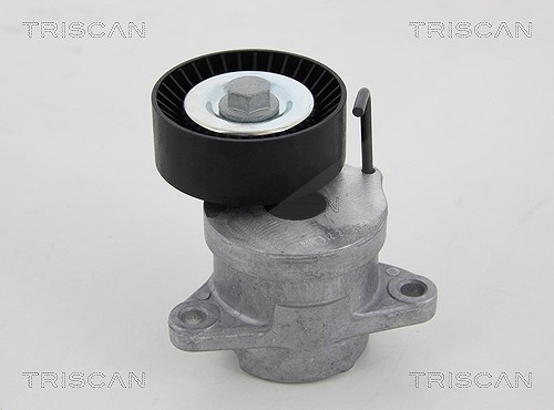 Triscan Spannarm, Keilrippenriemen [Hersteller-Nr. 8641243013] für Chevrolet, Vauxhall, Opel, Saab