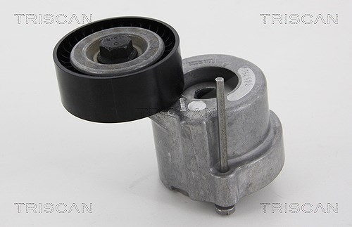 Triscan Spannarm, Keilrippenriemen [Hersteller-Nr. 8641243012] für Opel, Jeep, Chrysler, Vauxhall, Fiat, Lancia, Cadillac, Saab, Alfa Romeo, Suzuki