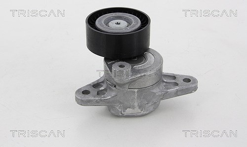 Triscan Spannarm, Keilrippenriemen [Hersteller-Nr. 8641233021] für Mercedes-Benz