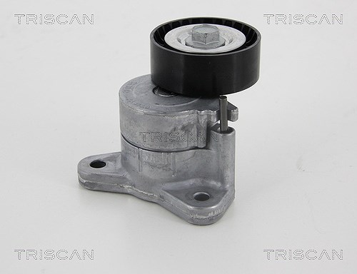 Triscan Spannarm, Keilrippenriemen [Hersteller-Nr. 8641103042] für Peugeot, Lancia, Citroën, Fiat, Jeep, Dodge, Mitsubishi, Chrysler