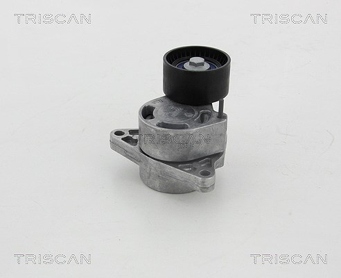 Triscan Spannarm, Keilrippenriemen [Hersteller-Nr. 8641103039] für Renault, Opel, Nissan, Vauxhall
