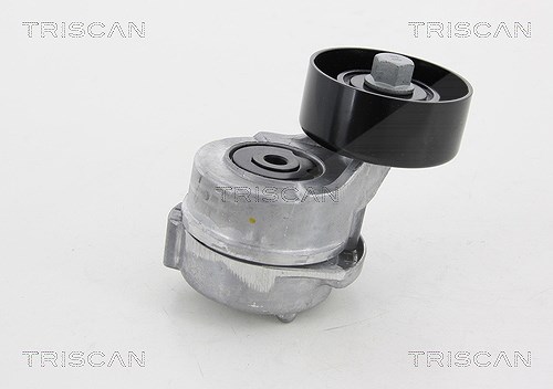 Triscan Spannrolle, Keilrippenriemen [Hersteller-Nr. 8641432005] für Kia, Hyundai