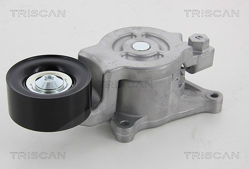 Triscan Spannrolle, Keilrippenriemen [Hersteller-Nr. 8641503007] für Mazda