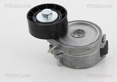Triscan Spannrolle, Keilrippenriemen [Hersteller-Nr. 8641282017] für Peugeot, Citroën