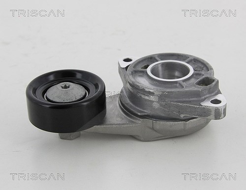 Triscan Spannrolle, Keilrippenriemen [Hersteller-Nr. 8641403007] für Honda