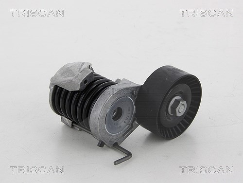 Triscan Spannarm, Keilrippenriemen [Hersteller-Nr. 8641113038] für BMW