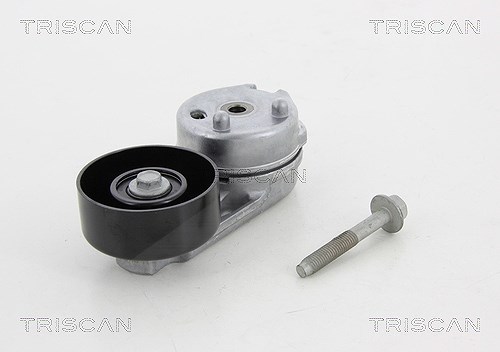 Triscan Spannrolle, Keilrippenriemen [Hersteller-Nr. 8641102036] für Daimler, Jaguar, Lincoln, Land Rover, Ford Usa, Ford