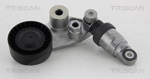 Triscan Riemenspanner, Keilrippenriemen [Hersteller-Nr. 8641443001] für Ssangyong