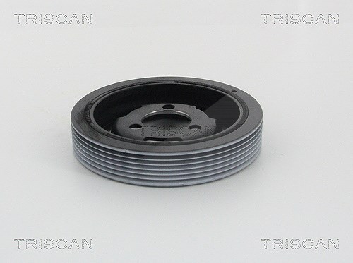 Triscan Riemenscheibe, Kurbelwelle [Hersteller-Nr. 864310015] für Vauxhall, Opel, Citroën, BMW, Peugeot (df-psa), Ds, Mini, Peugeot, Ds (capsa)