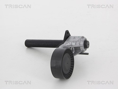 Triscan Riemenspanner, Keilrippenriemen [Hersteller-Nr. 8641113039] für BMW