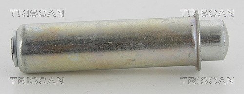 Triscan Schwingungsdämpfer, Zahnriemen [Hersteller-Nr. 8641103041] für Peugeot, Citroën, Vauxhall, Renault, Iveco, Alfa Romeo, Opel, Seat, Fiat