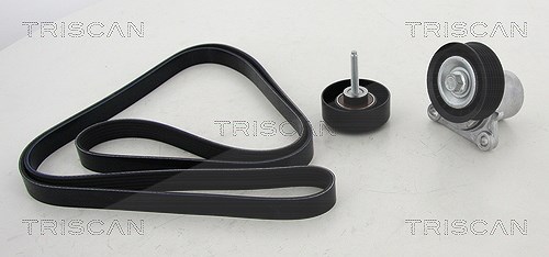 Triscan Keilrippenriemensatz [Hersteller-Nr. 864250001] für Mazda