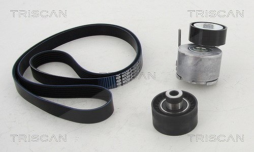 Triscan Keilrippenriemensatz [Hersteller-Nr. 864228021] für Peugeot, Citroën