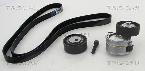 Triscan Keilrippenriemensatz [Hersteller-Nr. 864210016] für Lancia, Peugeot, Citroën, Fiat