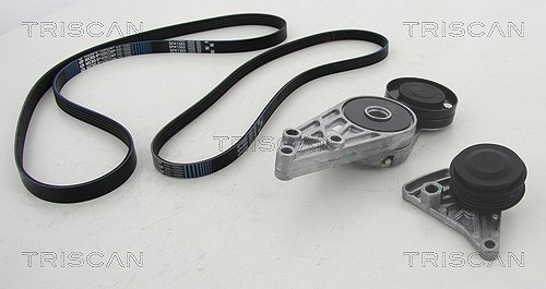 Triscan Keilrippenriemensatz [Hersteller-Nr. 864229016] für VW, Audi, Skoda