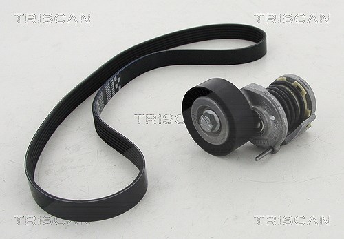 Triscan Keilrippenriemensatz [Hersteller-Nr. 864229011] für Seat, Audi, VW, Skoda