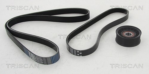 Triscan Keilrippenriemensatz [Hersteller-Nr. 864210018] für Volvo, Ford