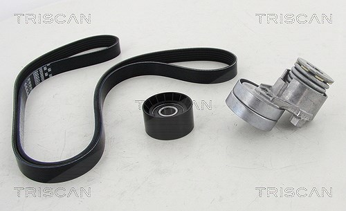 Triscan Keilrippenriemensatz [Hersteller-Nr. 864210017] für Renault, Nissan, Mitsubishi, Vauxhall, Opel