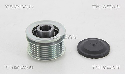 Triscan Generatorfreilauf [Hersteller-Nr. 8641164007] für Chrysler, Fiat, Alfa Romeo, Lancia, Vauxhall, Ford, Dodge, Jeep, Volvo, Mazda, Opel