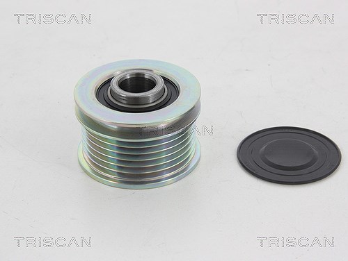 Triscan Generatorfreilauf [Hersteller-Nr. 8641284005] für Citroën, Ford, Peugeot, Mitsubishi