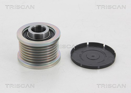 Triscan Generatorfreilauf [Hersteller-Nr. 8641254007] für Opel, Vauxhall, Nissan, Fiat, Mercedes-Benz, Dacia, Renault