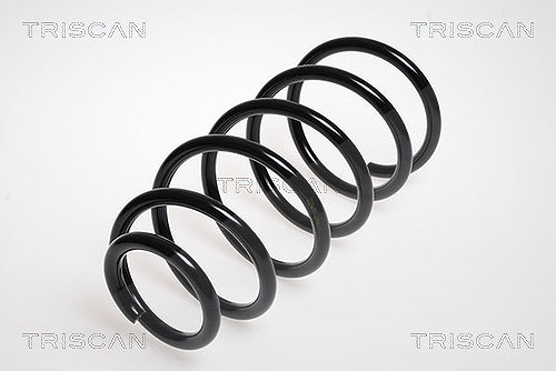Triscan Fahrwerksfeder [Hersteller-Nr. 875029293] für Audi