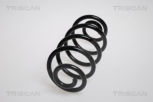 Triscan Fahrwerksfeder [Hersteller-Nr. 875025104] für Renault