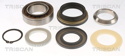 Triscan Radlagersatz [Hersteller-Nr. 853014263] für Nissan