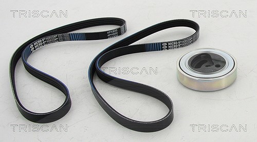 Triscan Keilrippenriemensatz [Hersteller-Nr. 864269001] für Suzuki