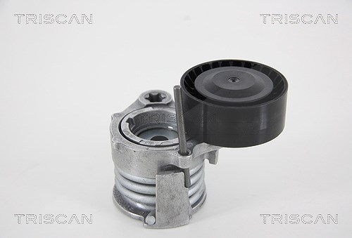 Triscan Spannarm, Keilrippenriemen [Hersteller-Nr. 8641113037] für Alpina, BMW