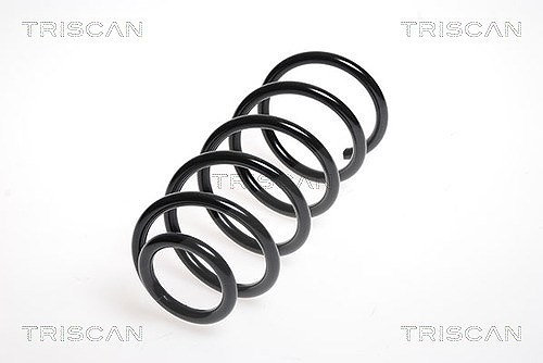Triscan Fahrwerksfeder [Hersteller-Nr. 87502393] für Smart