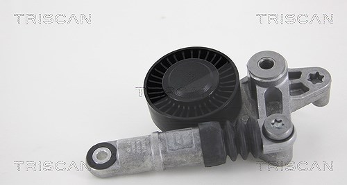Triscan Riemenspanner, Keilrippenriemen [Hersteller-Nr. 8641293038] für Audi