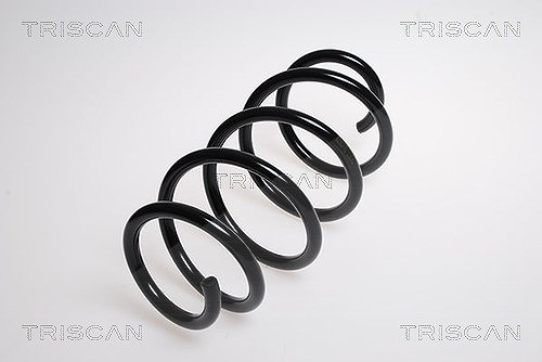 Triscan Fahrwerksfeder [Hersteller-Nr. 875016055] für Ford