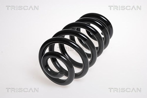 Triscan Fahrwerksfeder [Hersteller-Nr. 875029179] für Audi