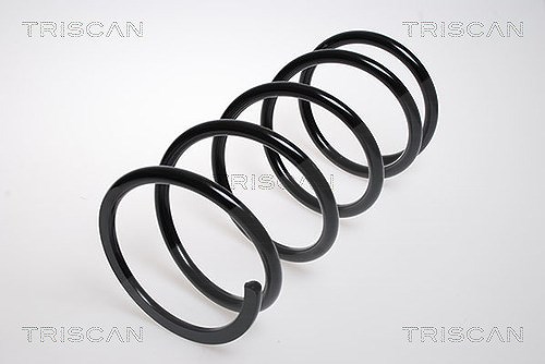 Triscan Fahrwerksfeder [Hersteller-Nr. 87504328] für Hyundai