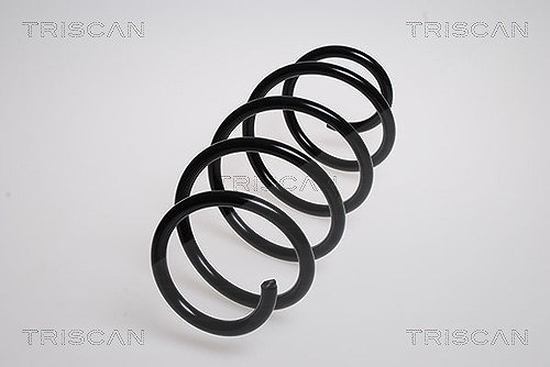 Triscan Fahrwerksfeder [Hersteller-Nr. 875015101] für Fiat