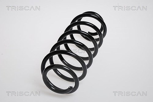 Triscan Fahrwerksfeder [Hersteller-Nr. 87504245] für Mitsubishi