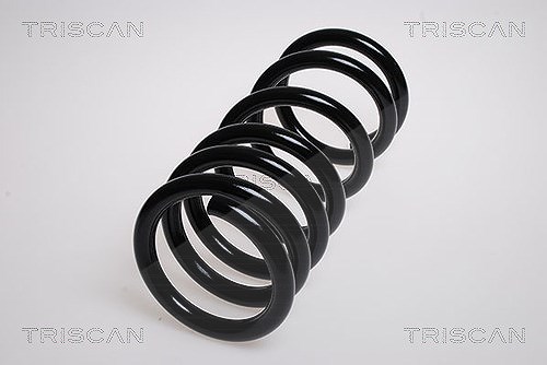Triscan Fahrwerksfeder [Hersteller-Nr. 87504260] für Mitsubishi