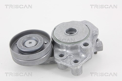 Triscan Spannarm, Keilrippenriemen [Hersteller-Nr. 8641293036] für Seat, VW, Audi, Skoda