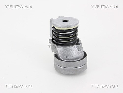 Triscan Spannarm, Keilrippenriemen [Hersteller-Nr. 8641293035] für Audi, Seat, VW, Skoda