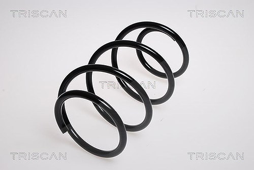 Triscan Fahrwerksfeder [Hersteller-Nr. 875023110] für Mercedes-Benz
