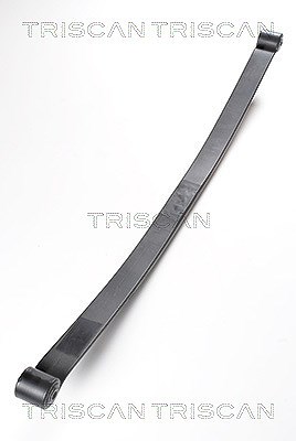Triscan Federnpaket [Hersteller-Nr. 876524006] für Renault, Vauxhall, Nissan, Opel