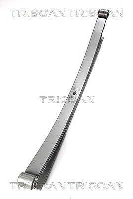 Triscan Federnpaket Hinterachse [Hersteller-Nr. 876523015] für VW, Mercedes-Benz