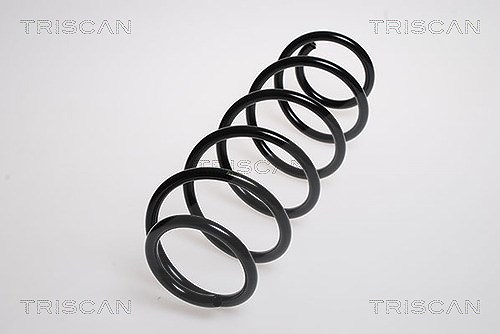 Triscan Fahrwerksfeder [Hersteller-Nr. 875023101] für Mercedes-Benz